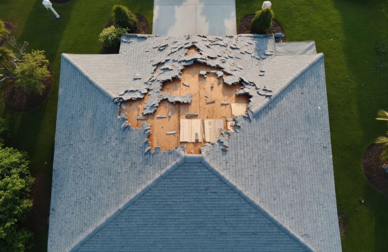 Roof Damage Repair